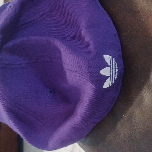 Hornets - Picture 4 of 6